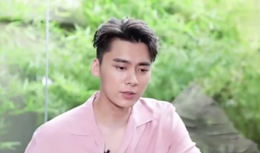 红得快，凉得也快！这9位“风光不再”的男星，有人太可惜了