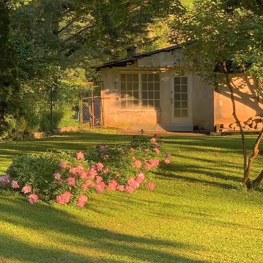 2022发朋友圈被秒赞的文案