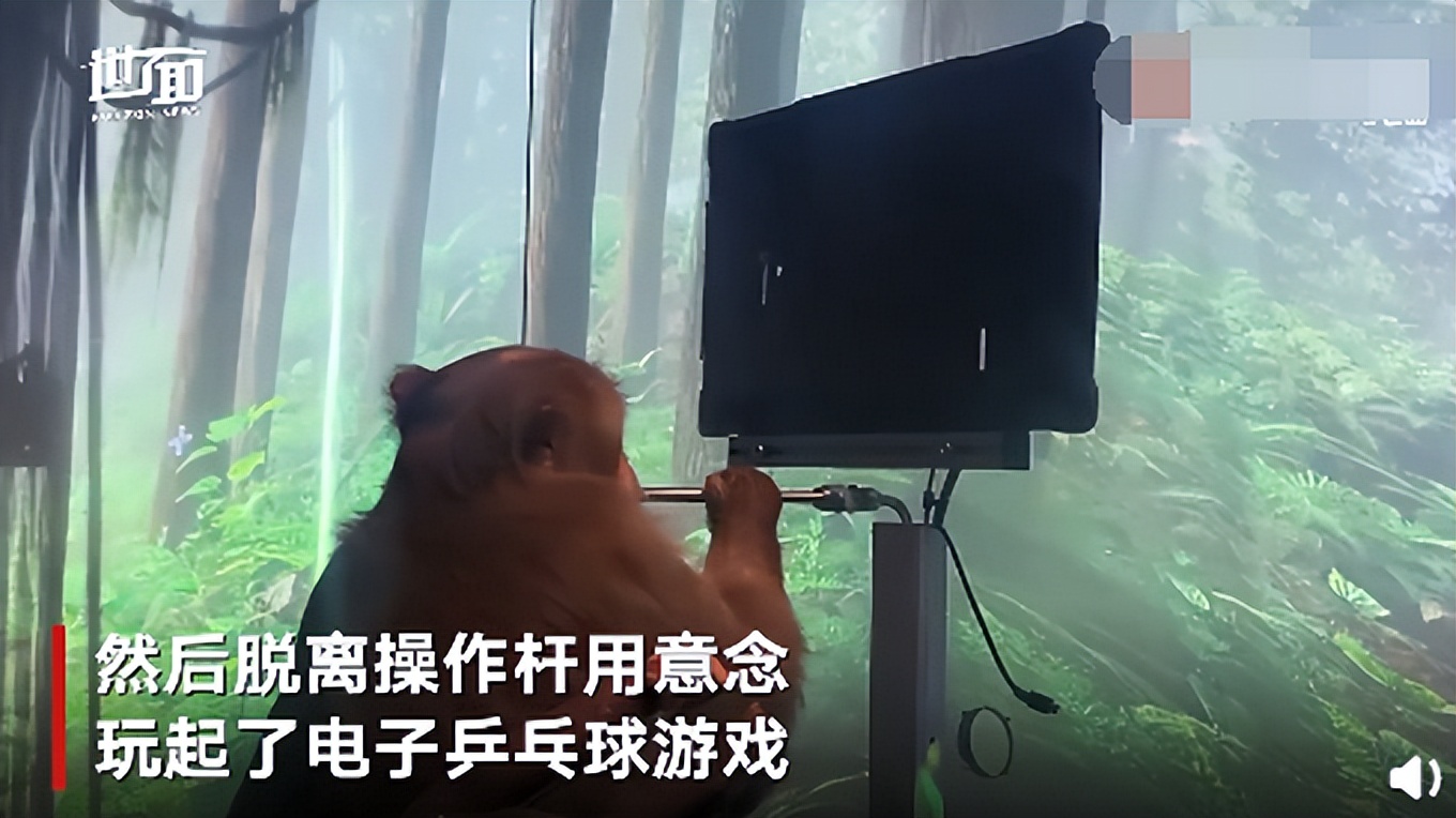 Web3“岛”上崛起​？DAO生态大口吸金