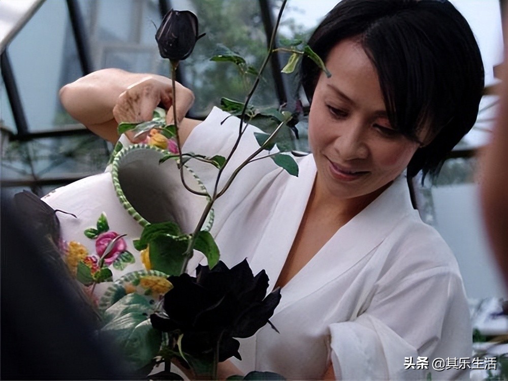 历届中国电影金鸡奖—影后（1981-2021），仅刘嘉玲一位港台演员