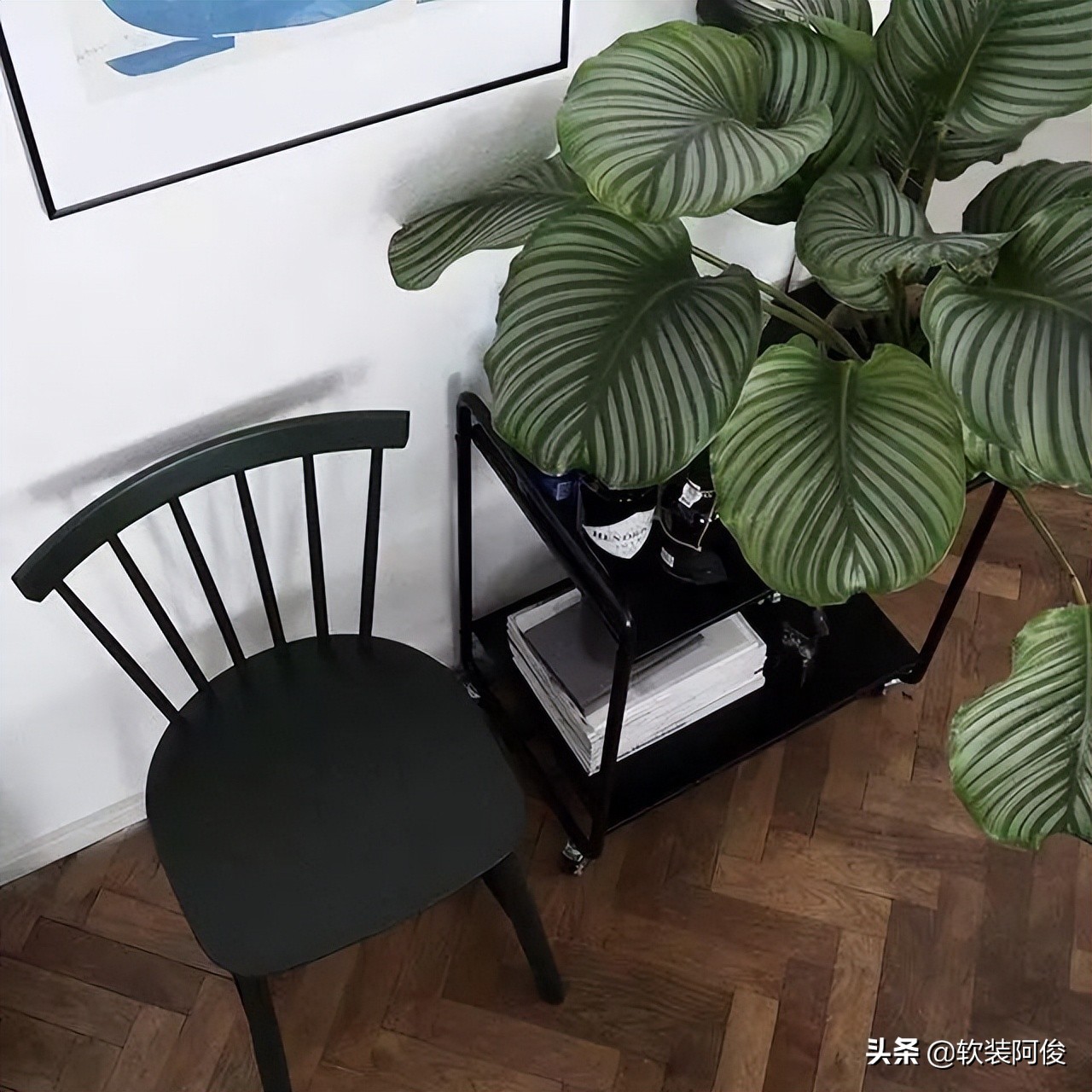 （阿俊聊软装）居家绿植如何选择？看看这10种高格调家居绿植