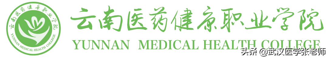预科班口腔医学录取院校—云南医药健康职业学院