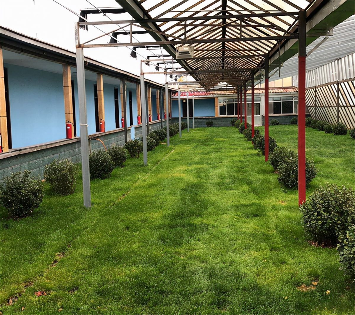 女博士江宇虹，放弃高管当农夫，年收入破亿！世界500强找她合作