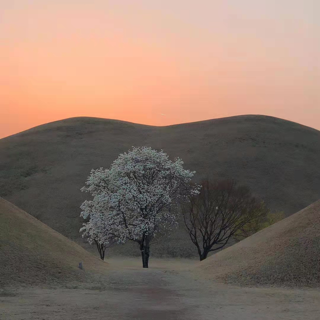 2022发朋友圈被秒赞的文案