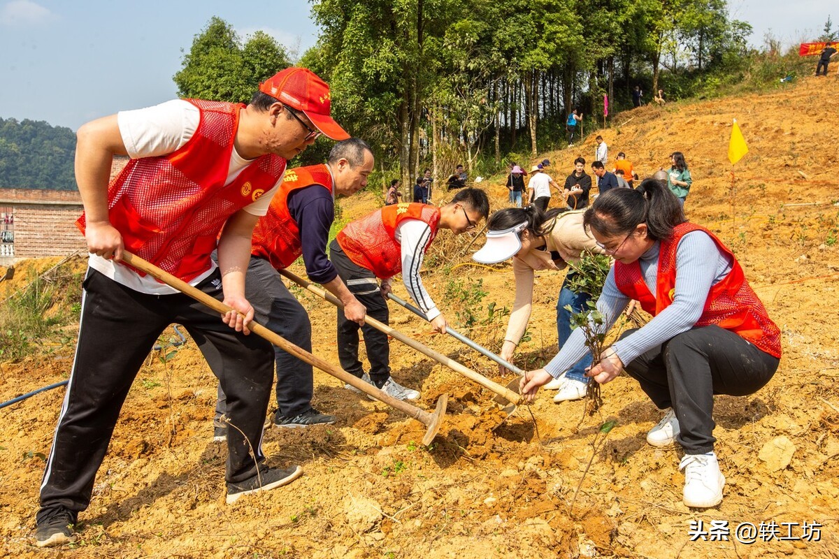 乡科级副职（乡科级副职对应最低级别为）-第5张图片-科灵网