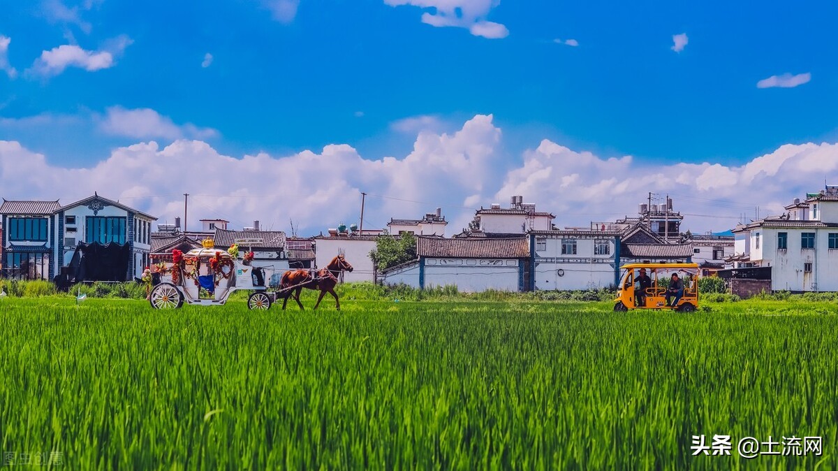 云南省2022年農(nóng)牧民補助政策：農(nóng)機購置補貼怎么辦理？
