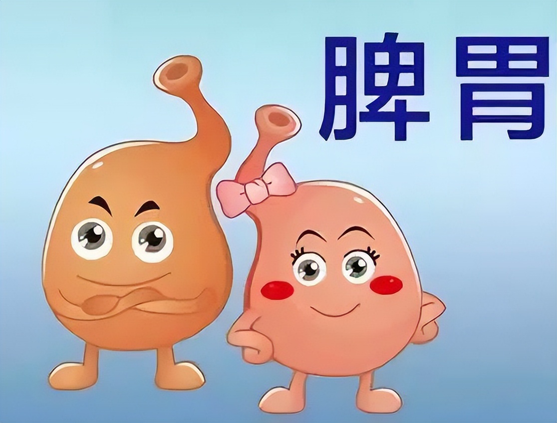 两味中药,一补一散,燥湿健脾的好搭档!