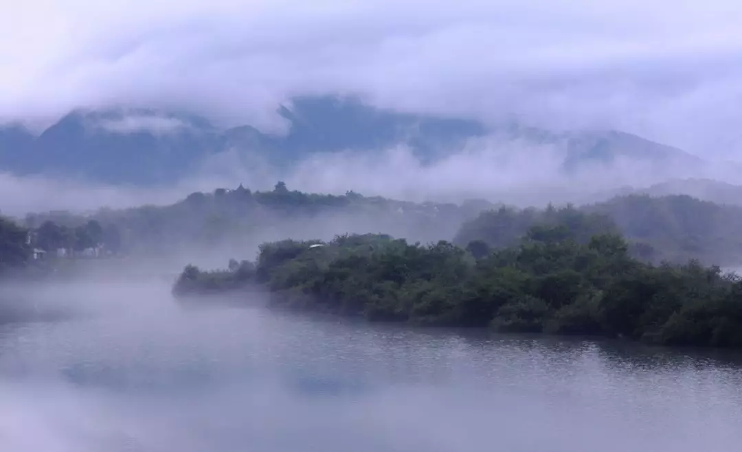 雨中草色绿堪染，雨水读诗唤春来