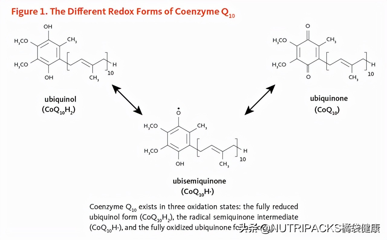 辅酶Q10的营养价值，不仅对心脏好，对皮肤也好