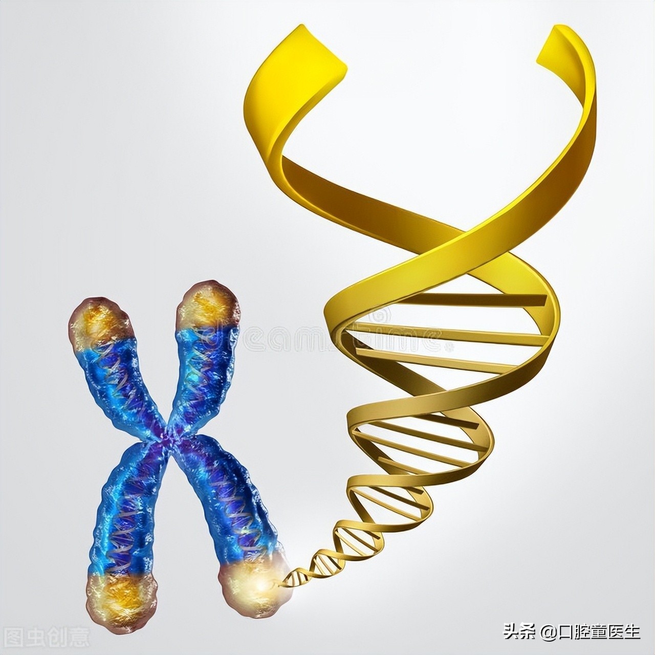 决定你还能活多久的关键是白细胞端粒长度，这与你的出生时间无关