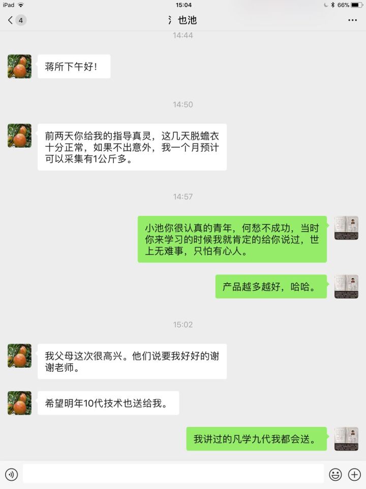 蟾衣多少钱一张,蟾衣多少钱一克