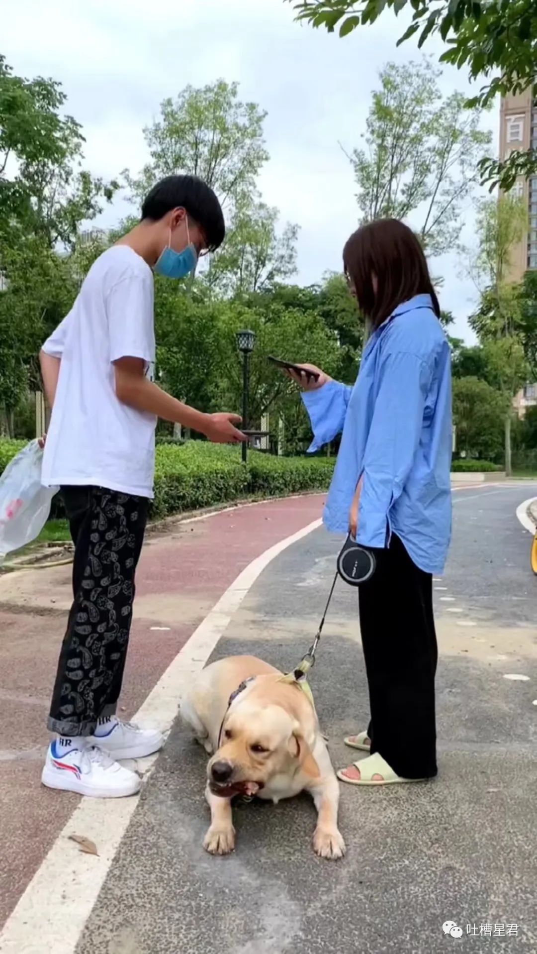 周杰伦新专辑为了显瘦有多心机？郎朗：我没惹你们任何人.