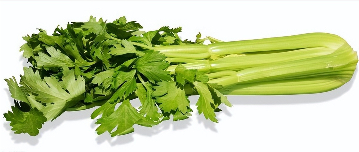 蔬菜的分类都有哪些（26种不同的蔬菜和吃法）