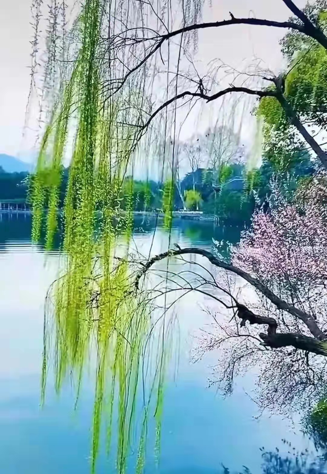 「原创」散文诗·春天的交响旋律