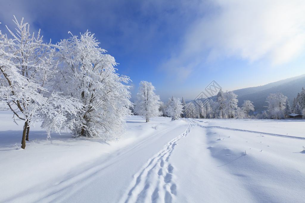 抖音下雪超级火的文案(适合下雪发朋友圈心情说说文案)