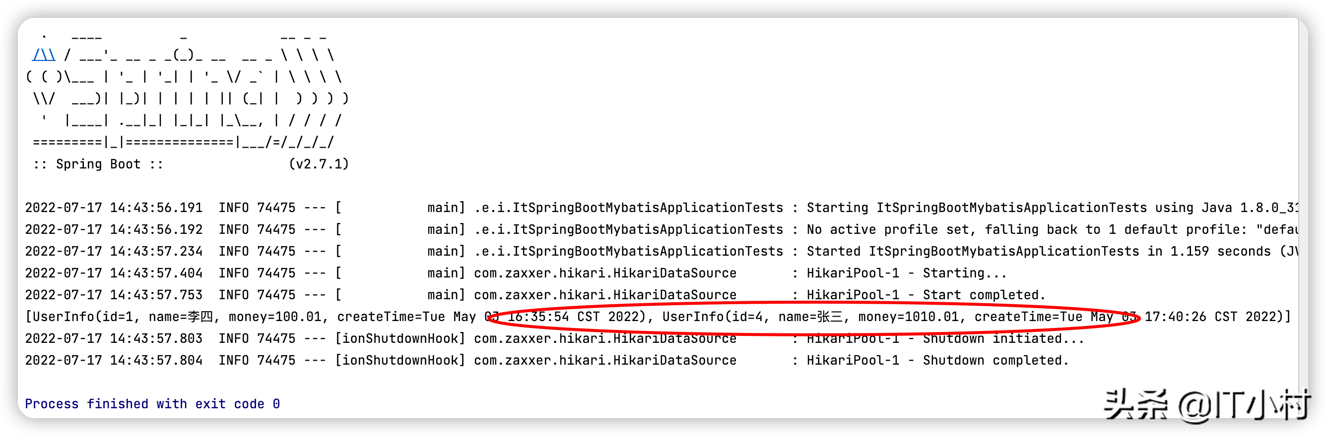 SpringBoot集成MyBatis的相關要點