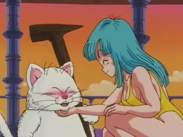 虎年说猫：动漫里的那些猫咪们