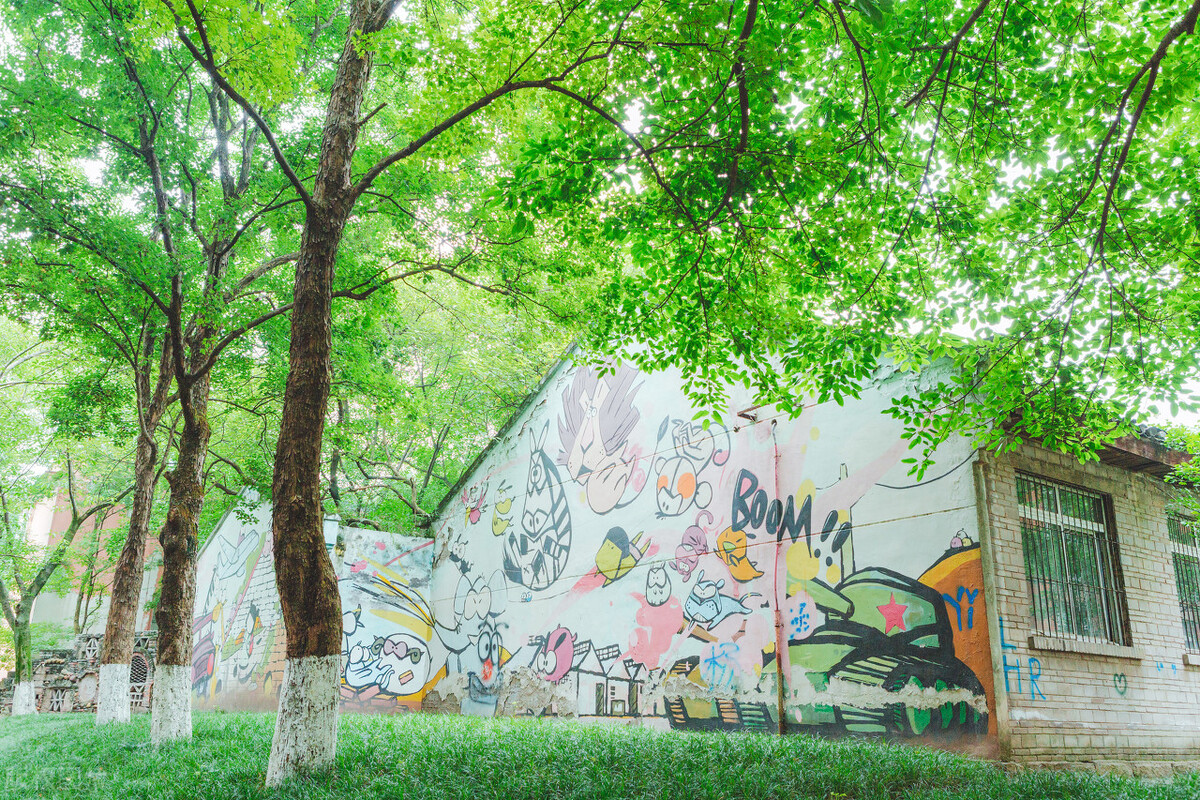 四川美术学院2022年校考初选线225分，录取文化成绩需多少分？