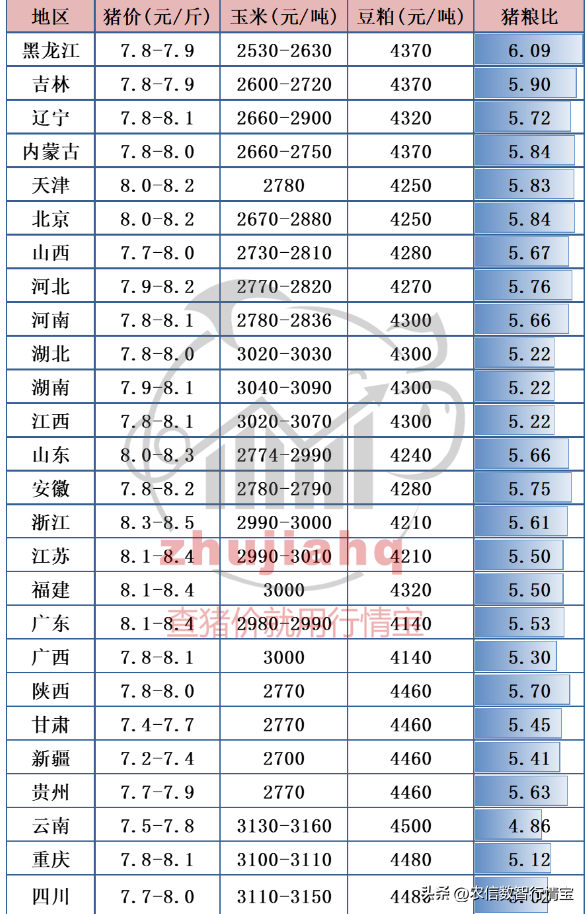 小猪仔价今日猪价（今日猪价小猪多少钱）