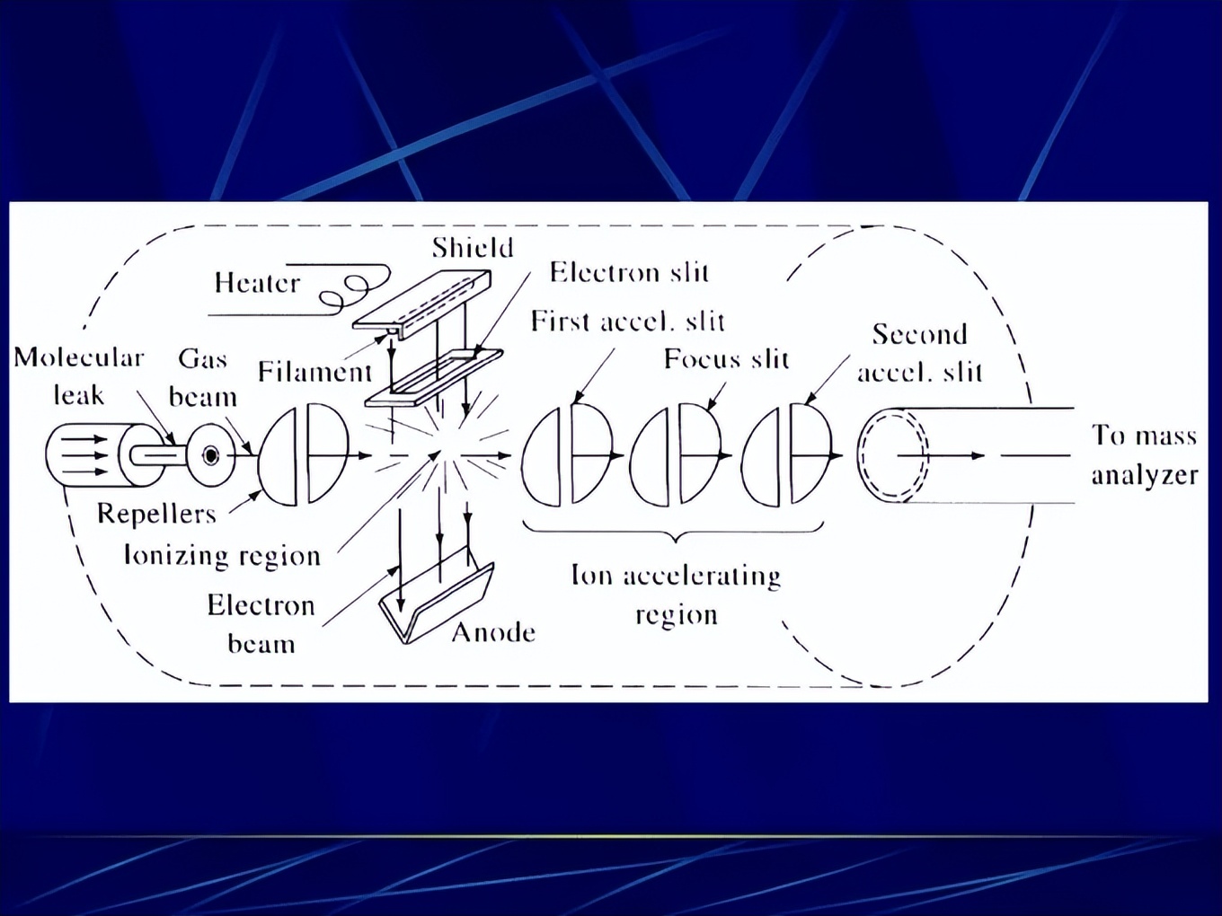 人类曾联手击败“上帝”因为科学证明了 一切都是注定好的？