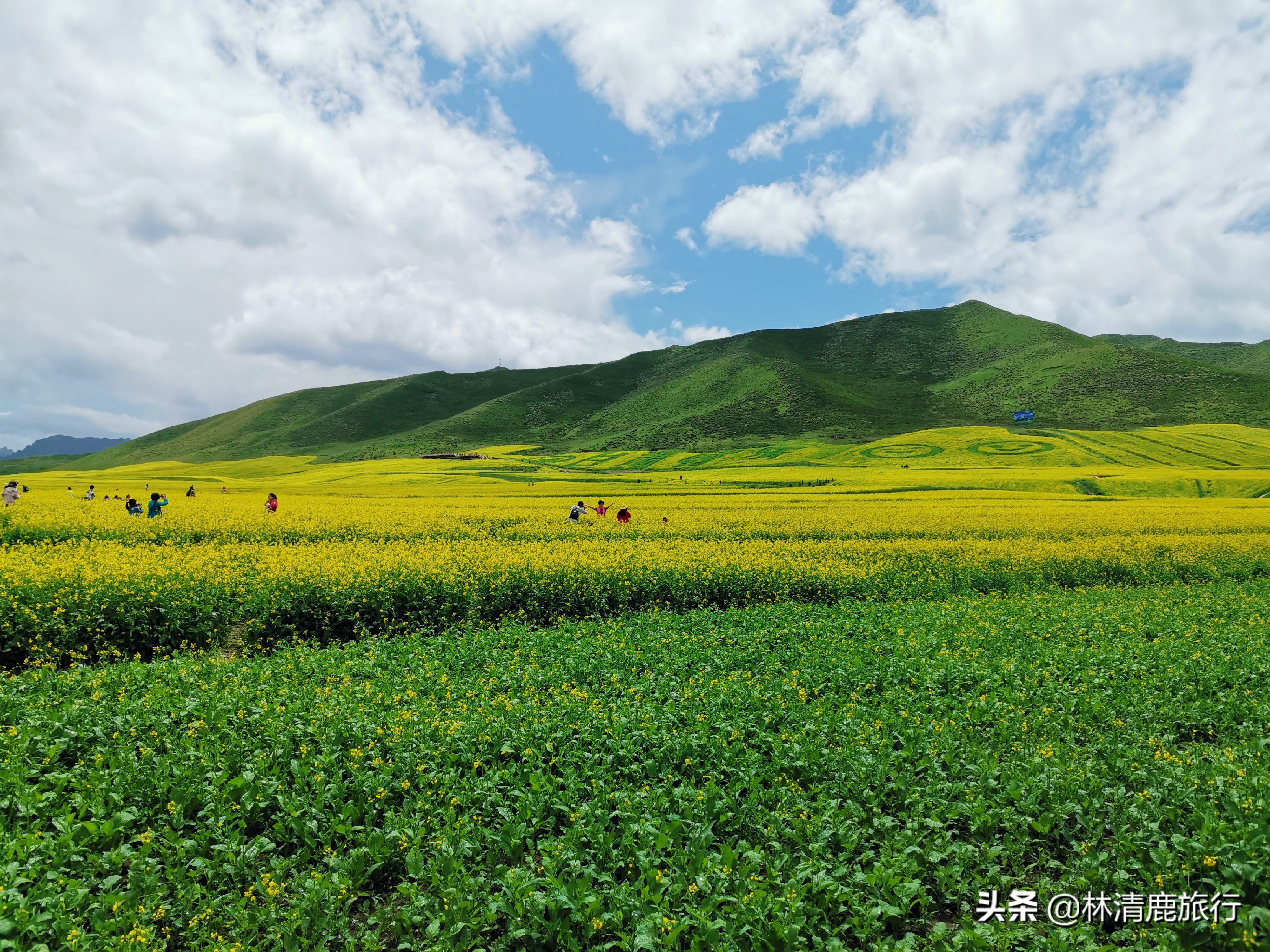 中国3、4月份最值得去的10座城市，花开不断，气候养人，适合旅居