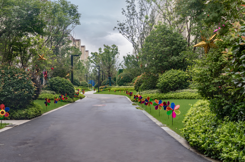 改善当道，揭秘五桥红盘热销背后的价值密码