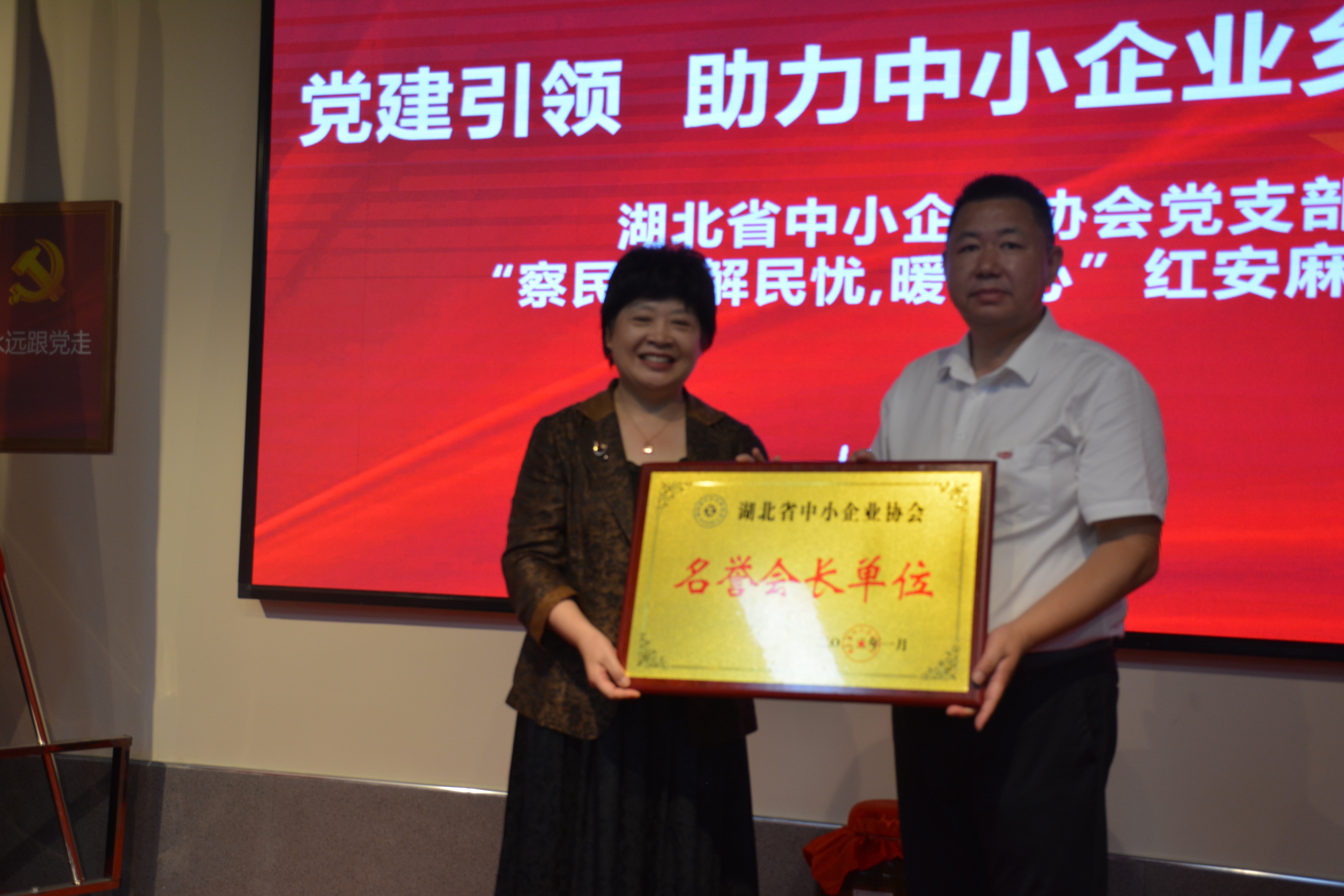 湖北省中小企业协会党支部“察民情解民忧暖民心”红安麻城行活动