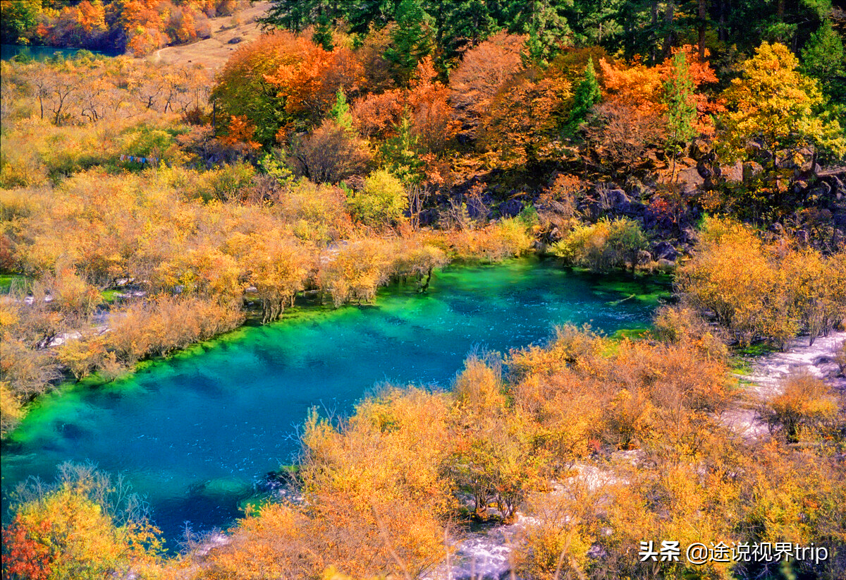 世间最美的九寨沟,无比震撼的人间仙境,来了就不想离开的地方