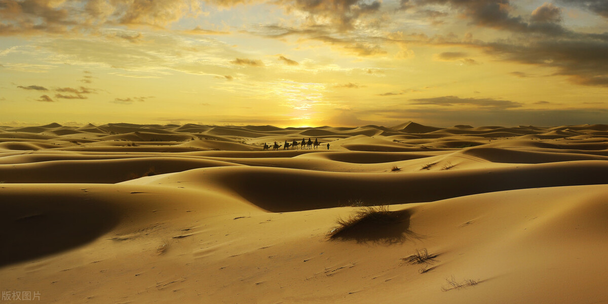 世界上面积最大的沙漠是(在全球面积最大的沙漠中迷路，12个考古专家如何死里逃生？)