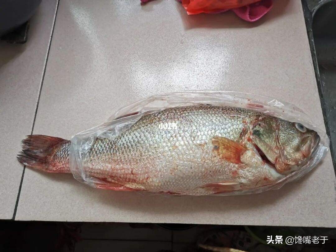 鱸魚一般多少錢一斤(買鱸魚) - 價格百科