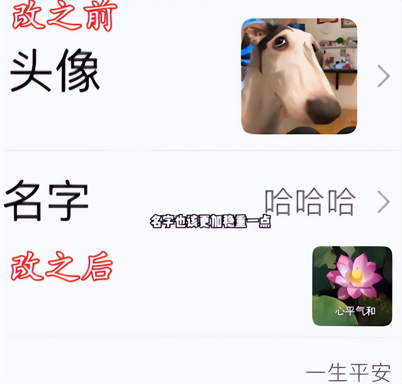 00后女生拉宏桑火了，在上海当楼长获央媒认可，却因学历饱受争议