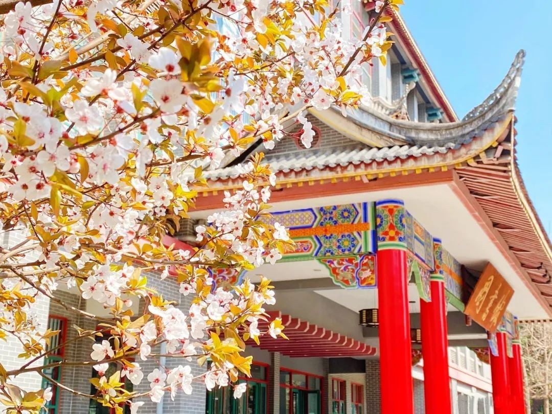 四川大学位置四川大学位置武侯校区