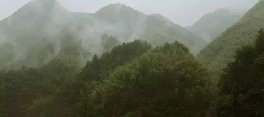 山居,生活本来的样子
