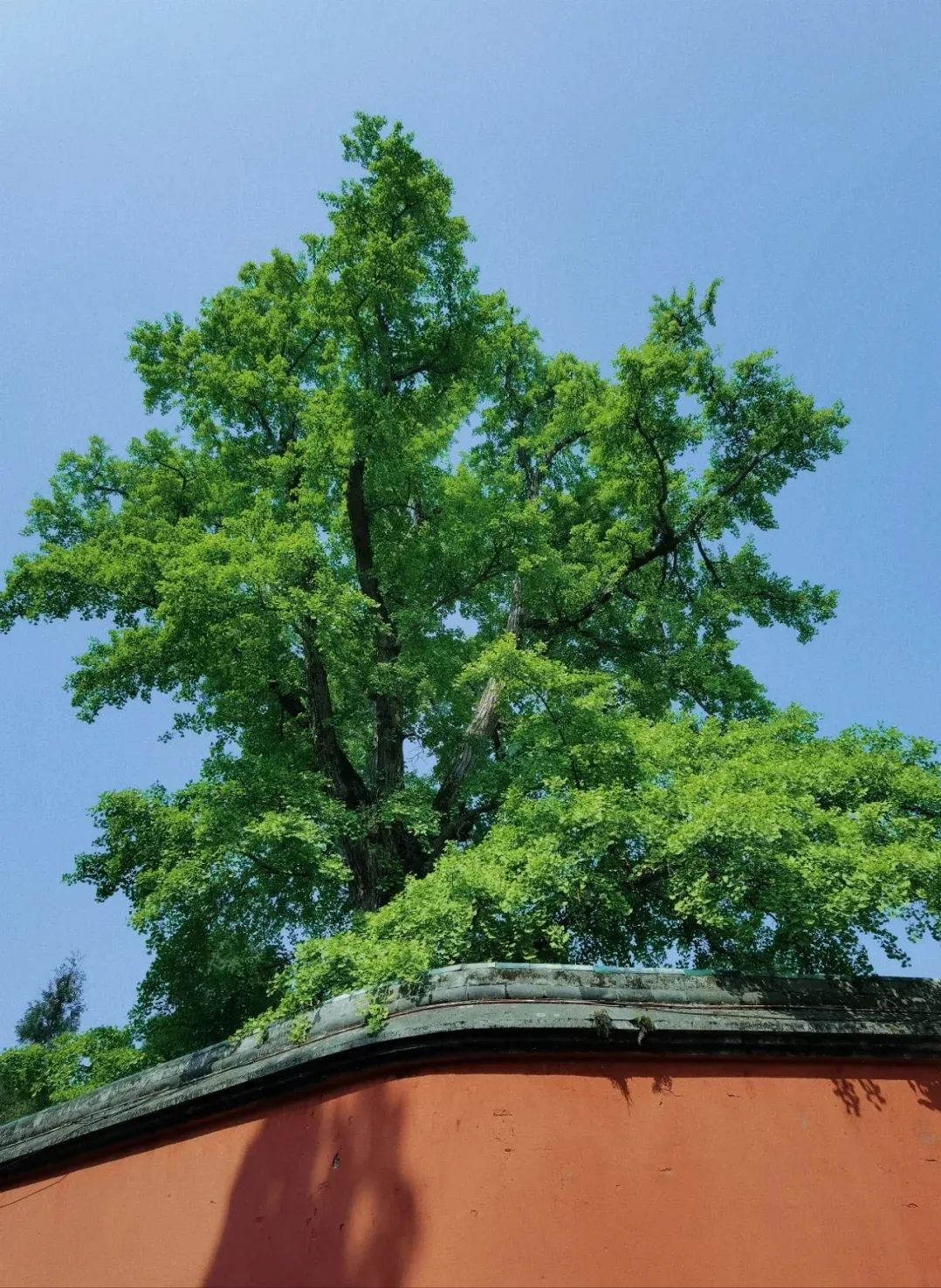 成都周边一日游的最佳地方在哪里(成都周边一日游的最佳地方在哪里避