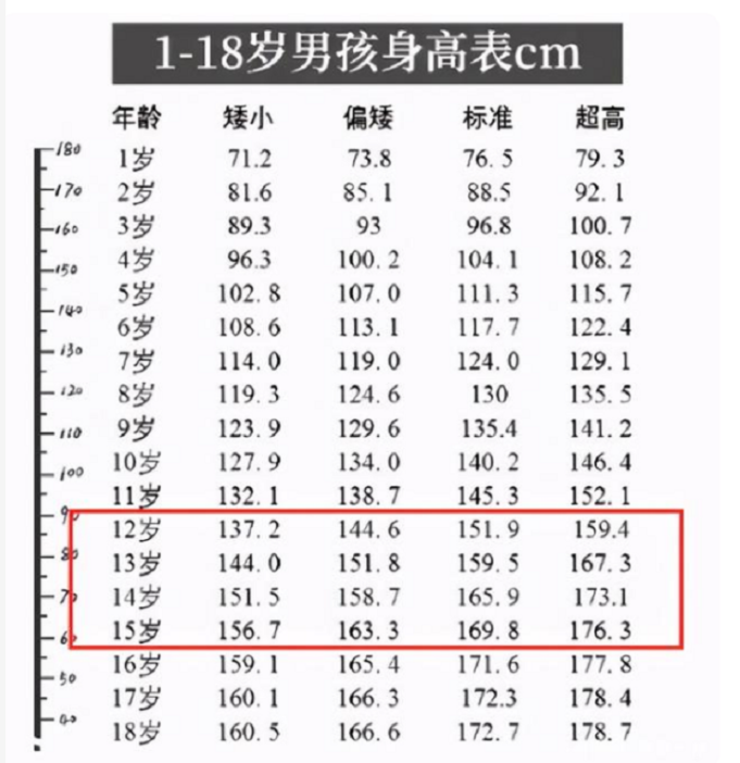 12岁女生(12岁女生正常身高)
