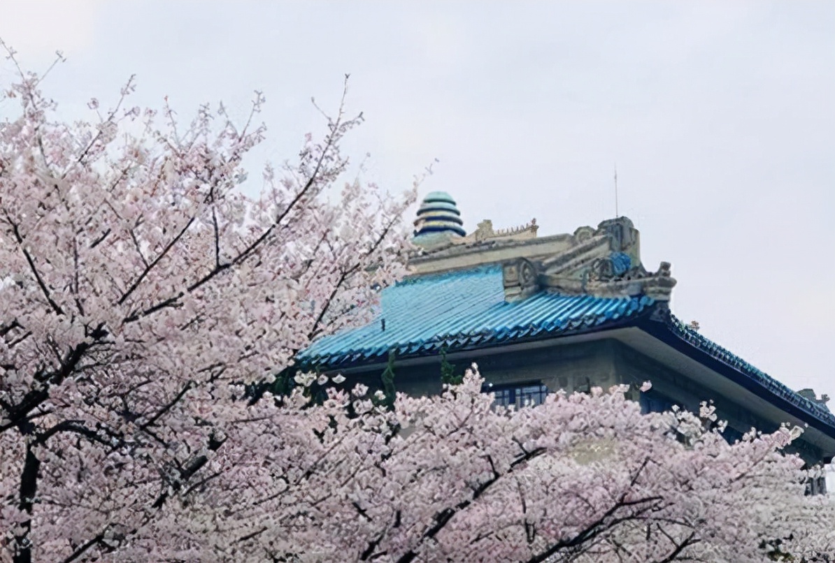 湖北有所二本高校名气不大，就业率却很高，毕业生多数成为公务员