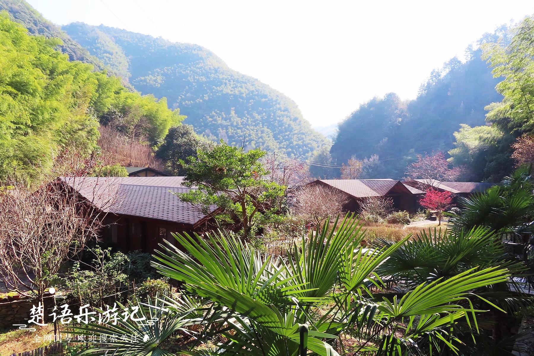 四明山哪个地方好玩（浙江四明山有一条奇美峡谷，藏在深山却游人众多，依然如世外桃源）