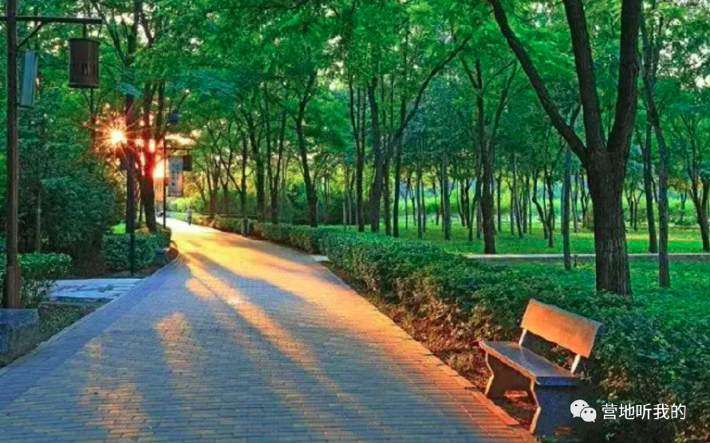北京公园休闲座椅上(一口气找到五个帝都宝藏森系公园，亲子骑行，赏花野餐，玩水捞鱼)