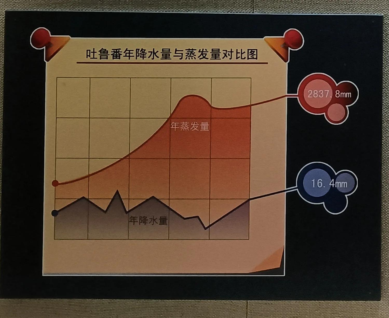 干尸是如何形成的（干尸的形成原因）-第2张图片-科灵网