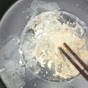 电煮锅怎么选？五款电煮锅实测告诉你“不粘”才是最好用