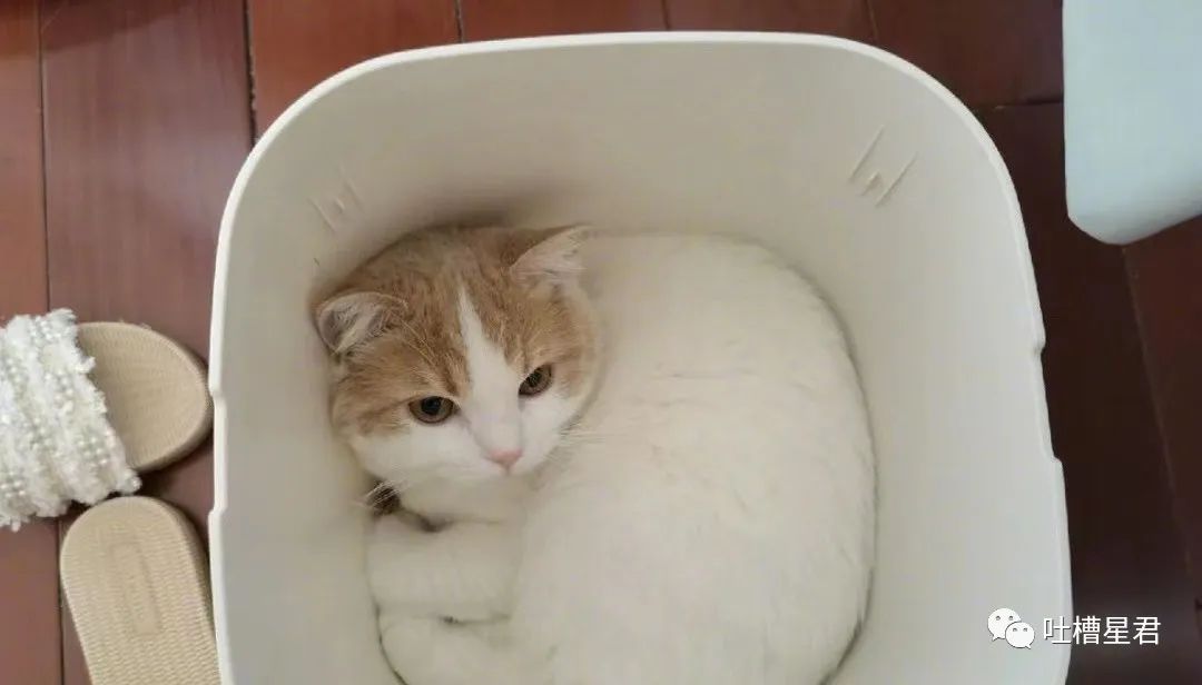 周杰伦新专辑为了显瘦有多心机？郎朗：我没惹你们任何人.