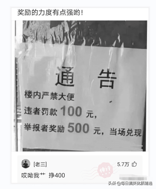 神回复：想娶迪丽热巴做老婆，第一步该做什么？我现在就去试试