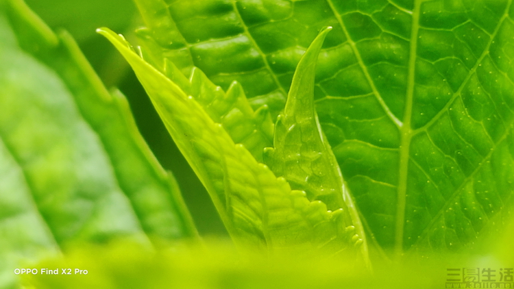 中端手机上的“凑数摄像头”，好日子要到头了？