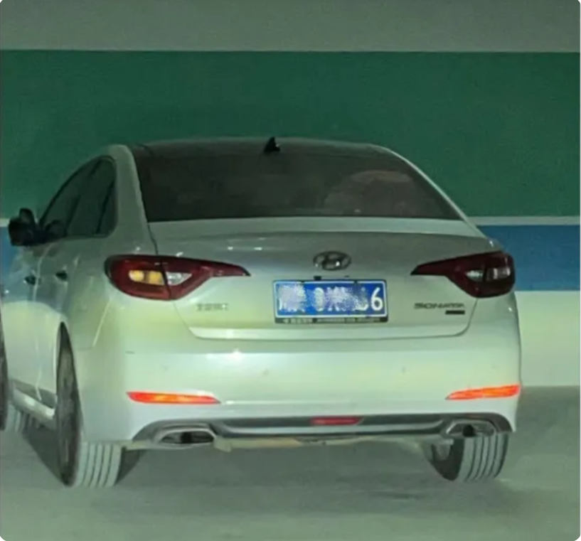 特斯拉被吐口水，“哨兵模式”立大功，双方都是高手过招