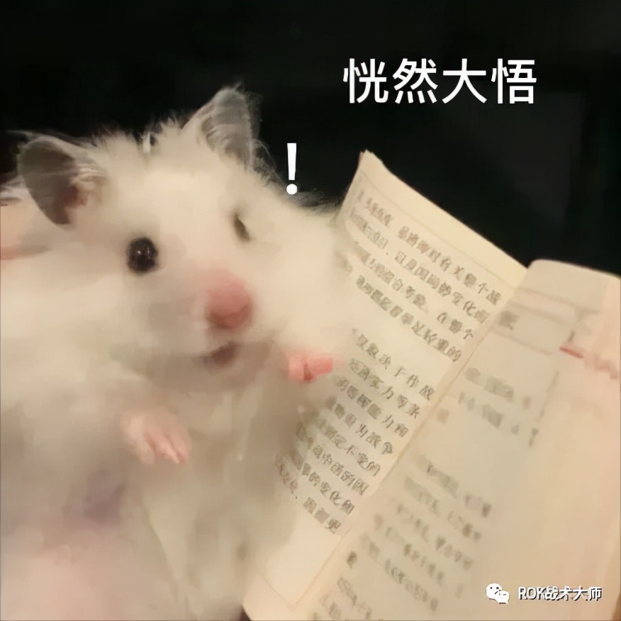 万国觉醒丨征服者威廉实测（下）