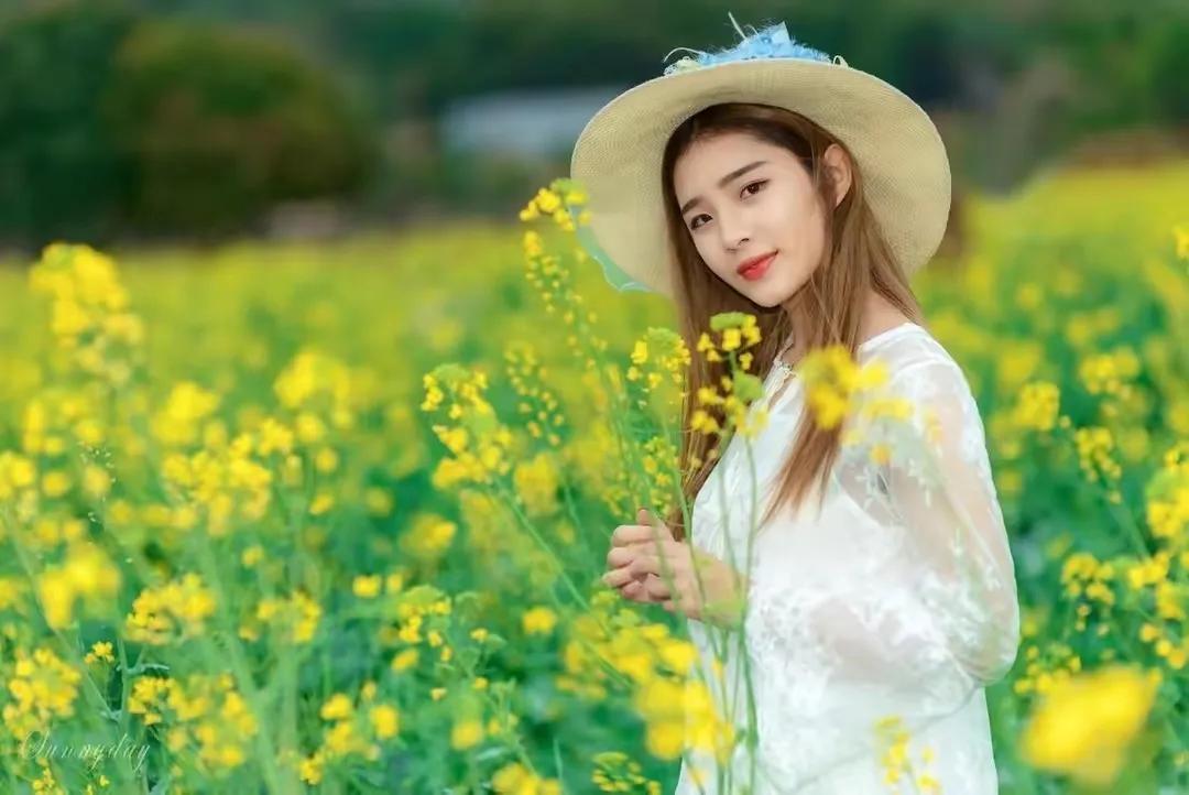 诗词赏读丨咏油菜花诗词12首