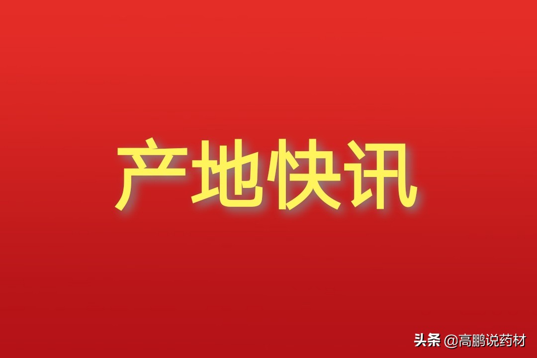 高鹏说药材：近日四川部分地产药材收购价格行情