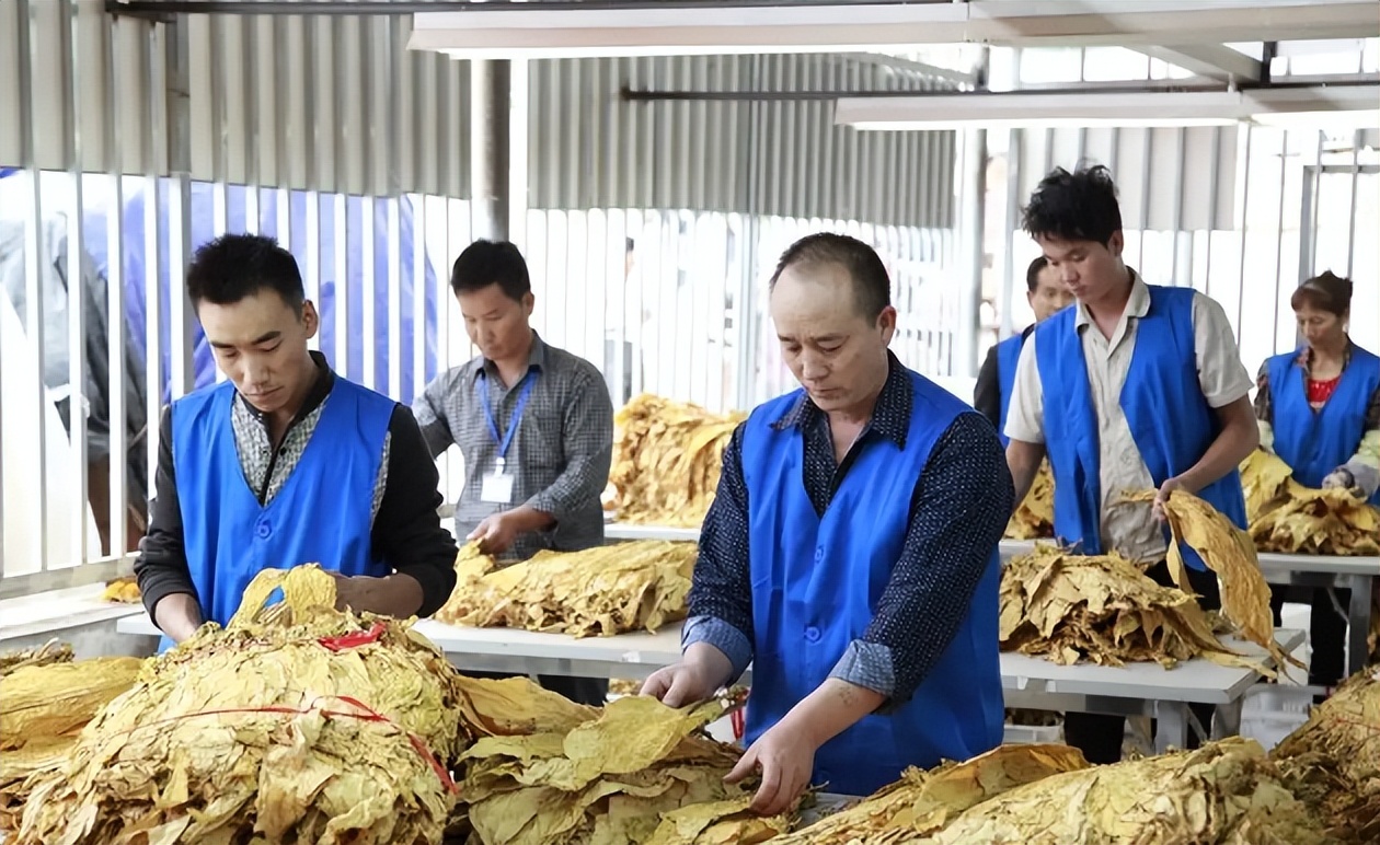 4所高校的校名朴实无华，却深受中国烟草青睐，毕业后薪酬也可观