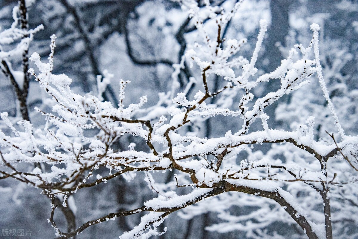 办公室主任（长篇连载）