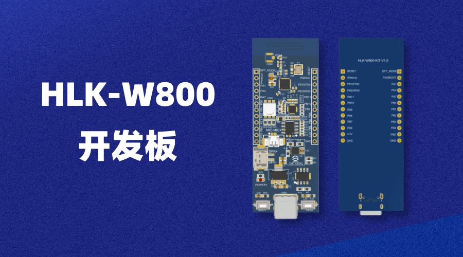 W800-KIT支持三色RGB灯温湿度传感器音频解码功放